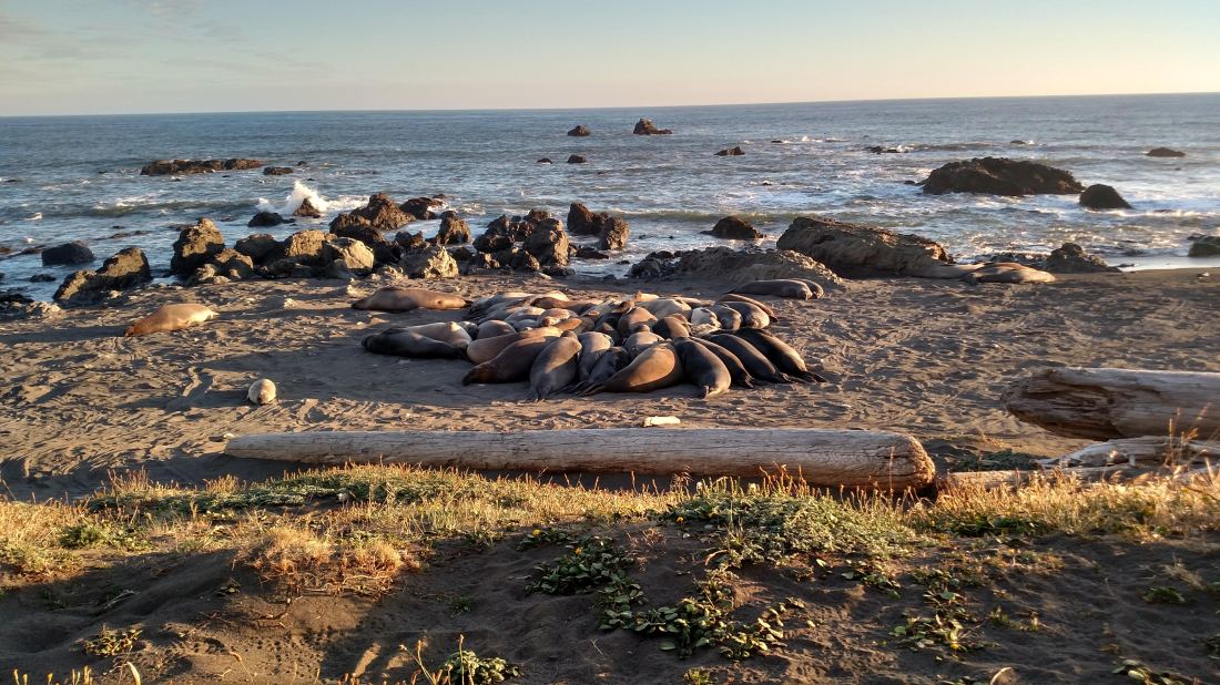 IMG_20180705_200824705_HDR