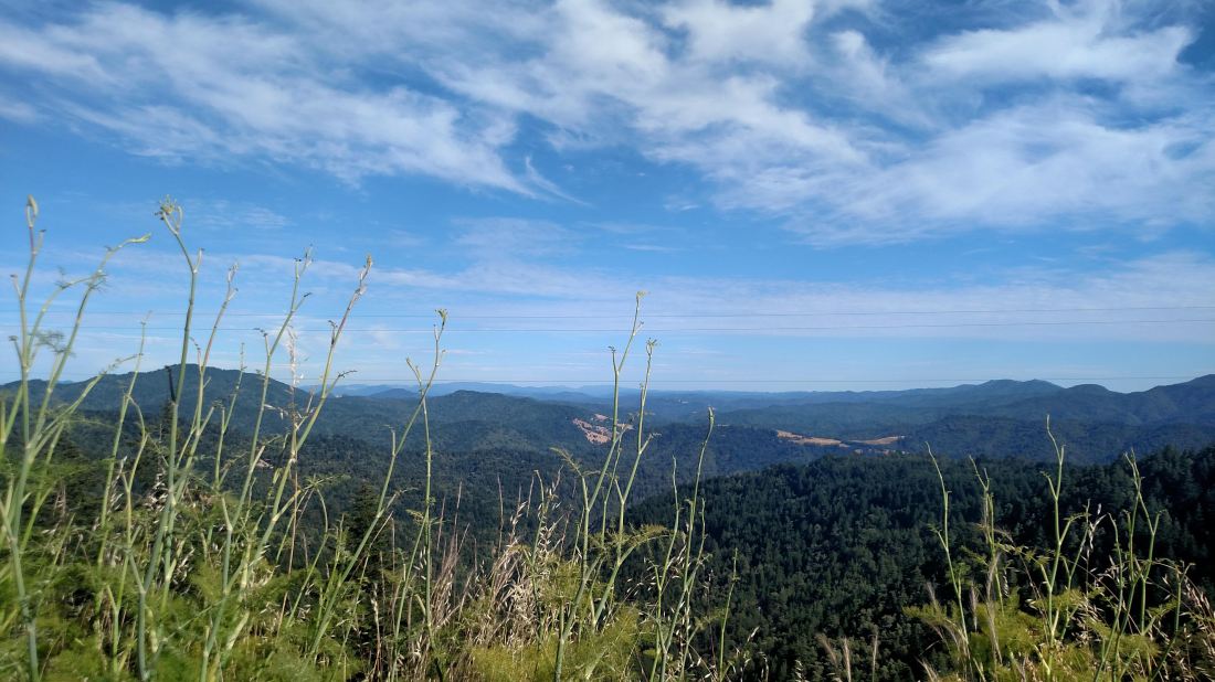 IMG_20180707_173145231