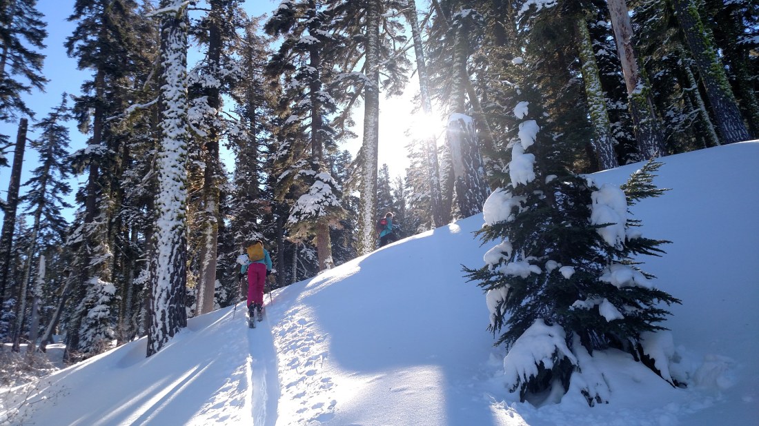 IMG_20190113_114117275