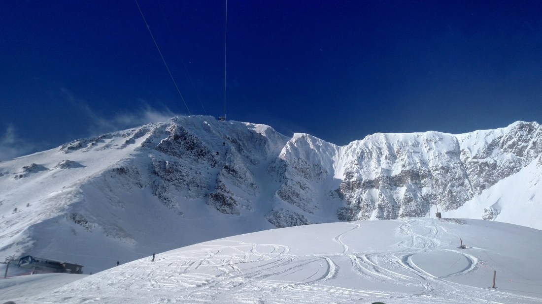 IMG_20190128_104949229