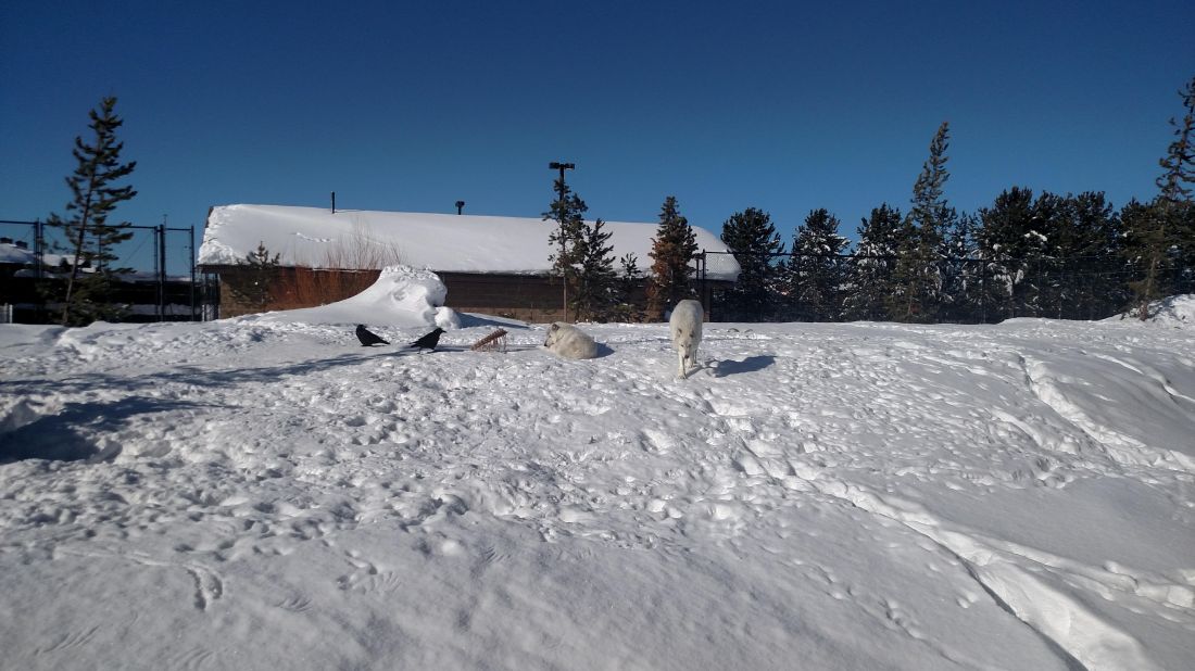 IMG_20190129_111156767