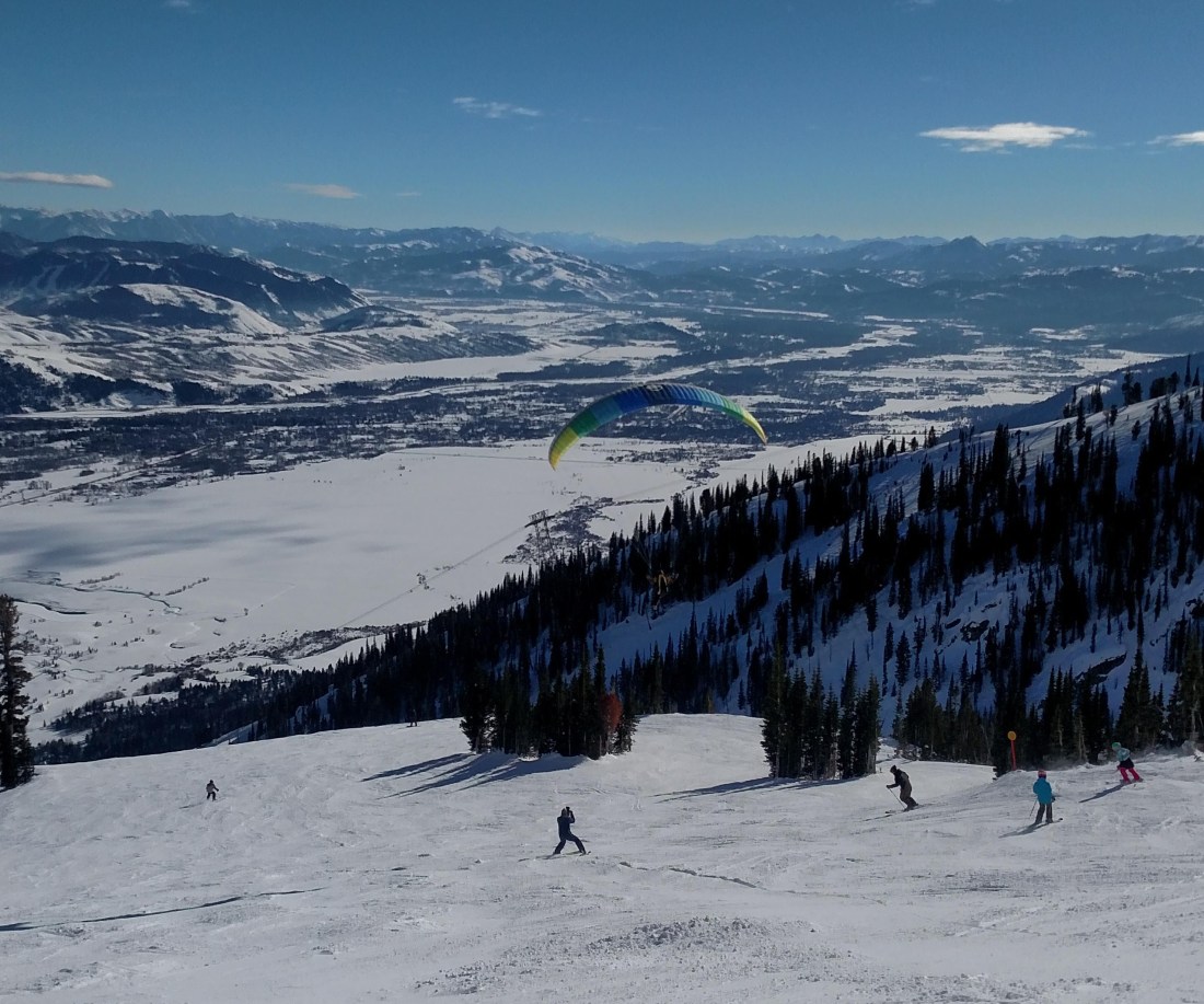 IMG_20190131_141949758